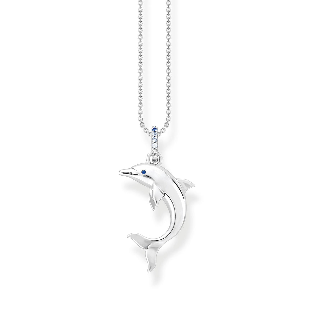 Collar con colgante: delfín tridimensional en plata 925